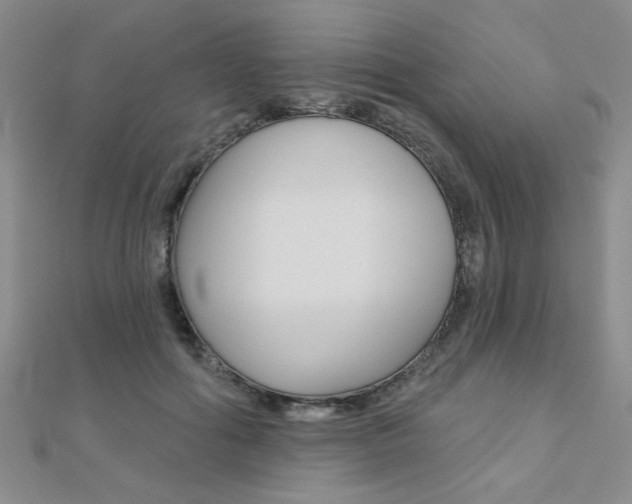 X0000110680602200906121036