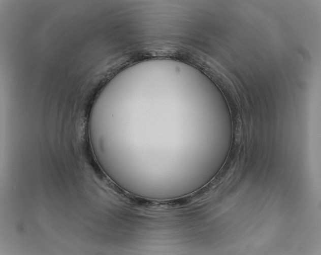 X0000110680604200906121036