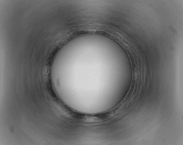X0000110680605200906121036