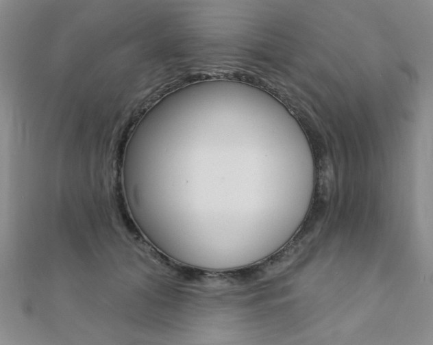 X0000110680608200906121036
