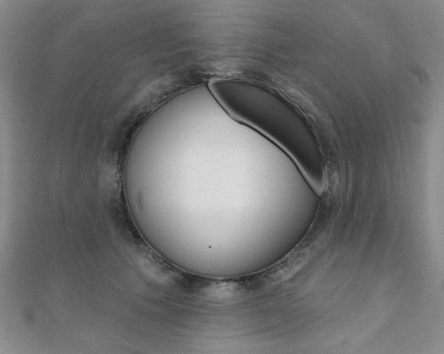 X0000110680609200906121036