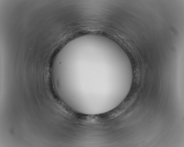 X0000110680612200906121036