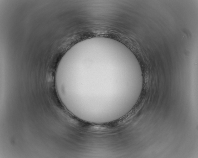X0000110680614200906121036