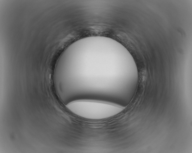 X0000110680615200906121036
