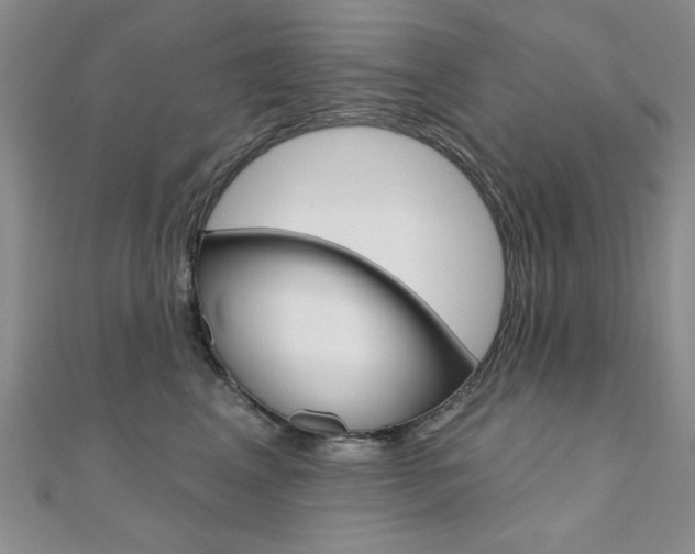 X0000110680617200906121036