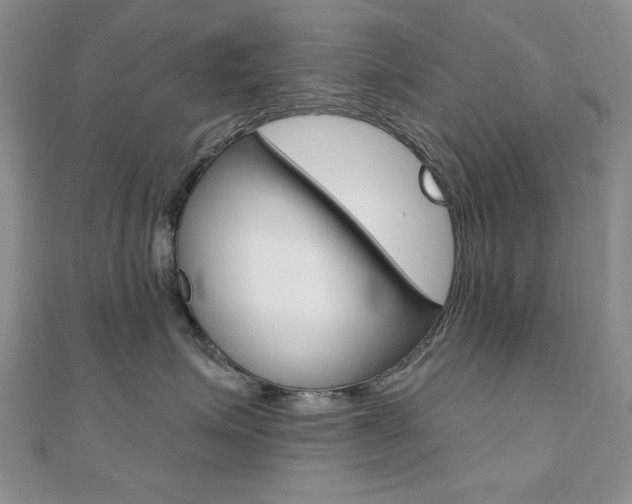 X0000110680623200906121036
