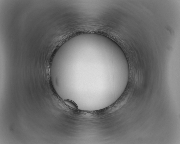 X0000110680624200906121036