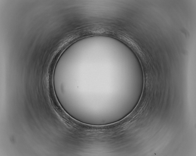 X0000110680626200906121036