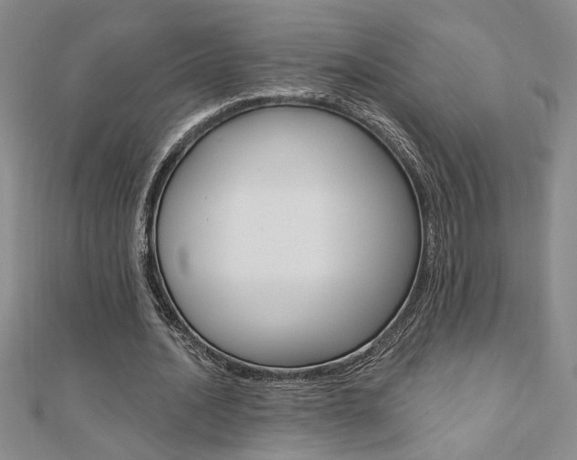 X0000110680628200906121036