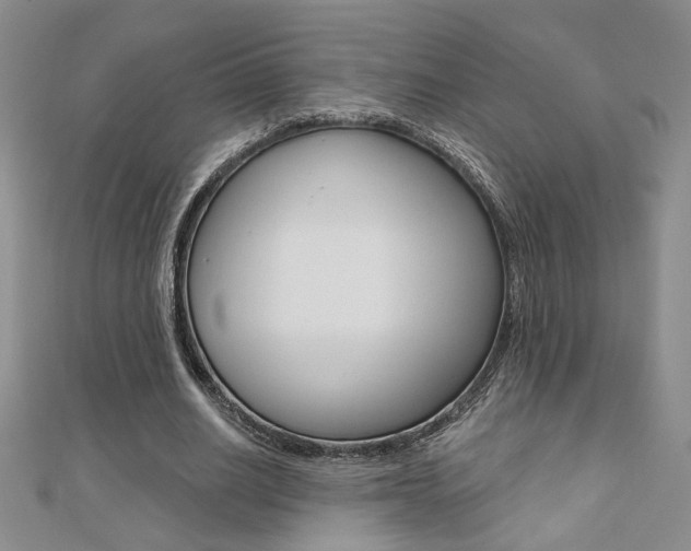 X0000110680630200906121036