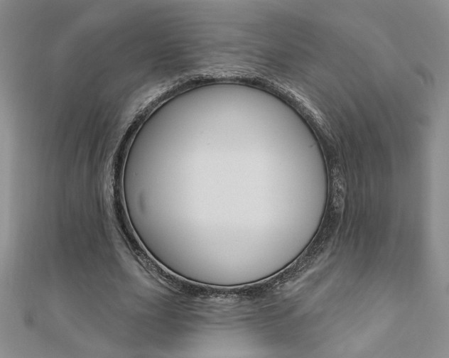 X0000110680631200906121036