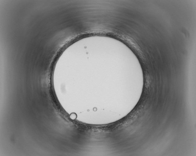 X0000110680632200906121036
