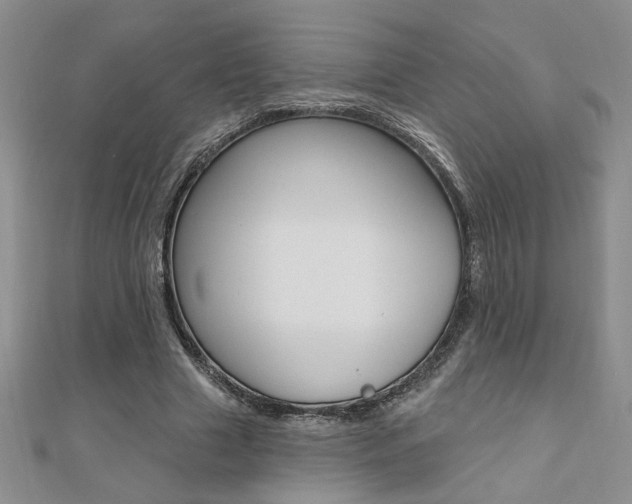 X0000110680633200906121036