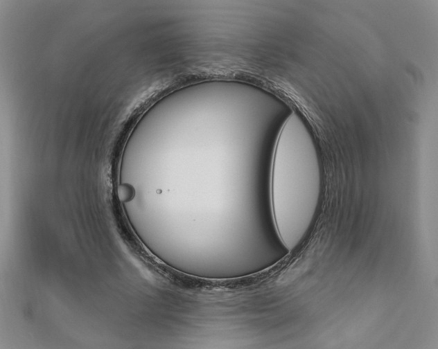 X0000110680634200906121036
