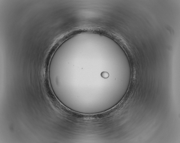 X0000110680636200906121036