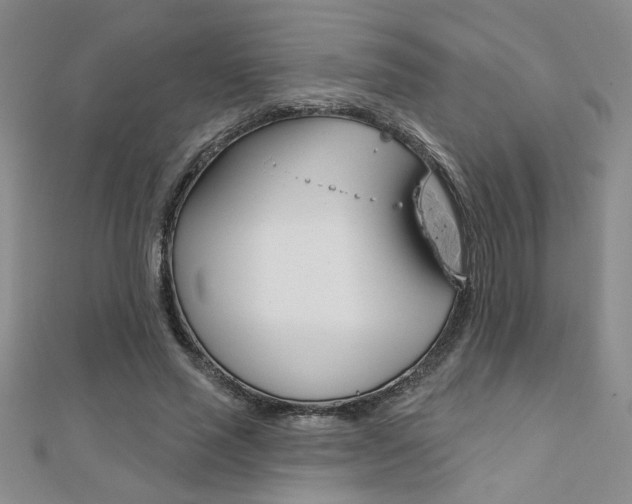 X0000110680637200906121036