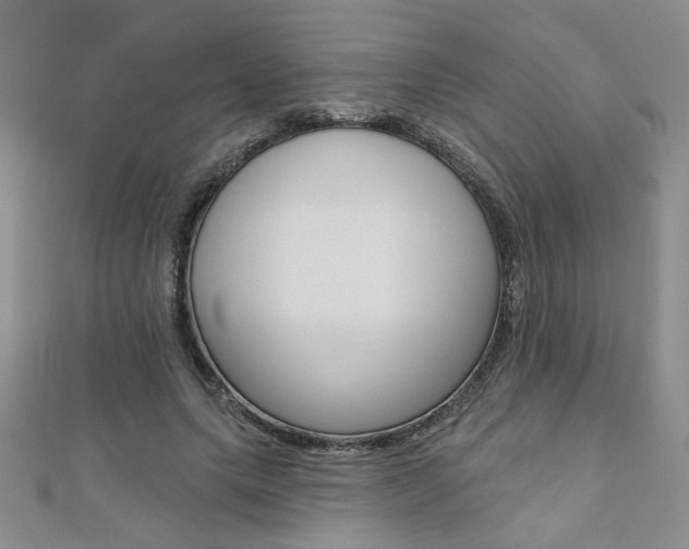 X0000110680639200906121036