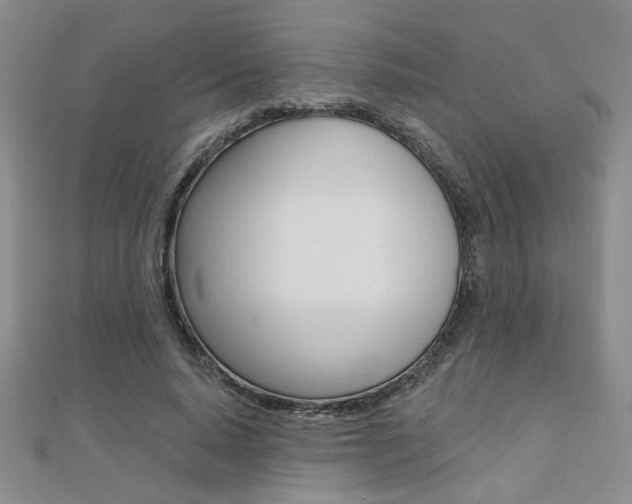 X0000110680640200906121036