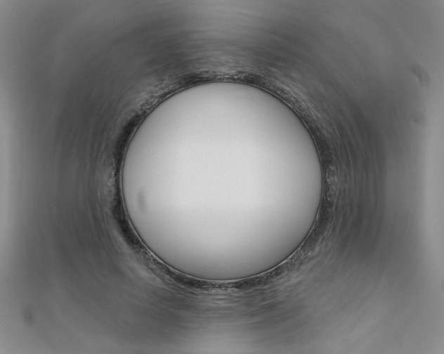 X0000110680642200906121036