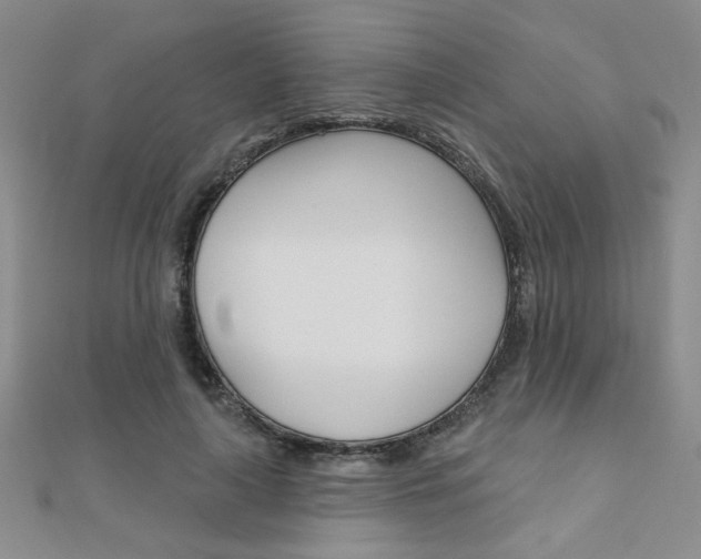 X0000110680643200906121036
