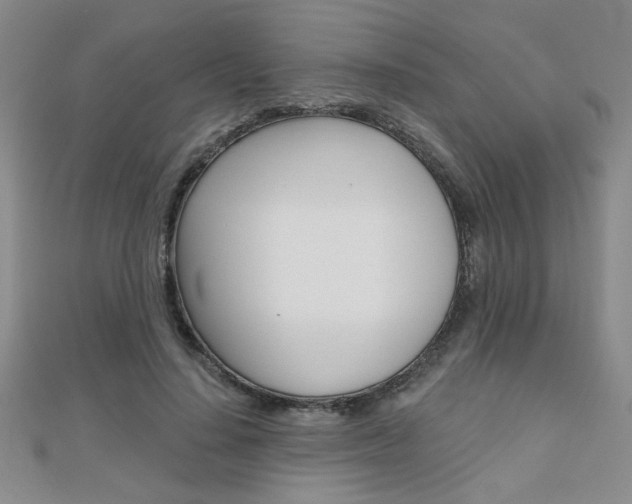 X0000110680644200906121036