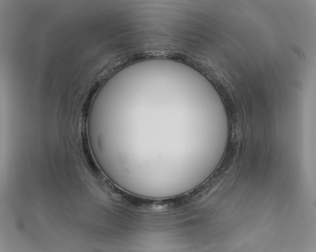 X0000110680647200906121036