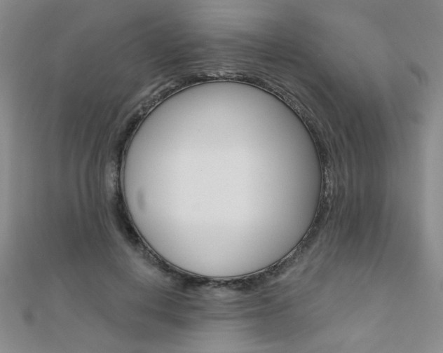 X0000110680648200906121036