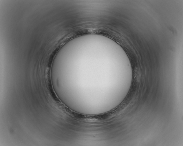 X0000110680650200906121036