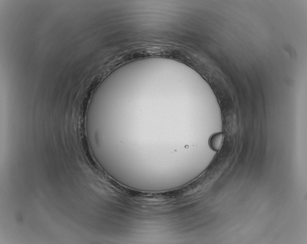 X0000110680653200906121036