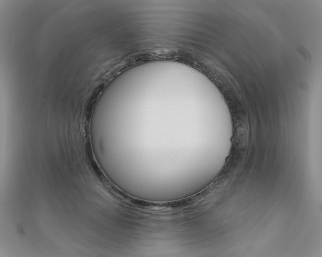 X0000110680654200906121036