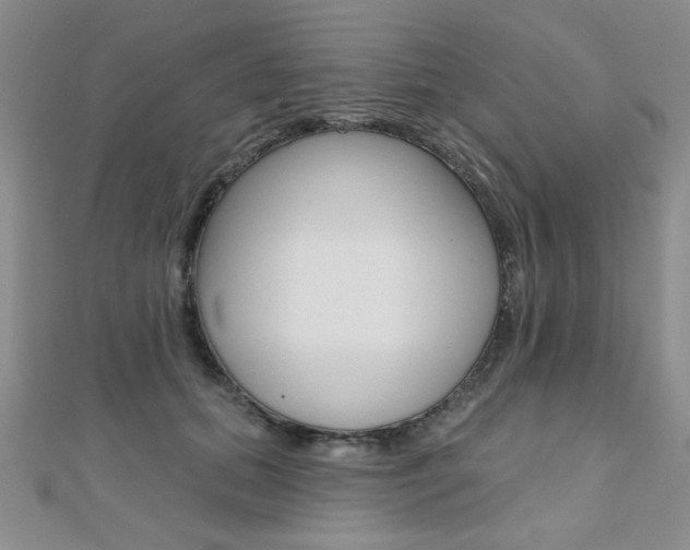 X0000110680655200906121036
