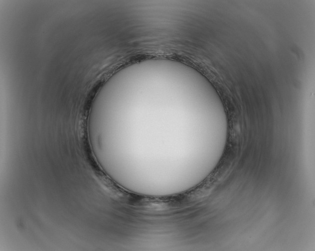 X0000110680658200906121036