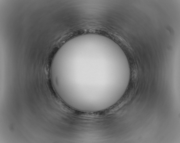 X0000110680661200906121036