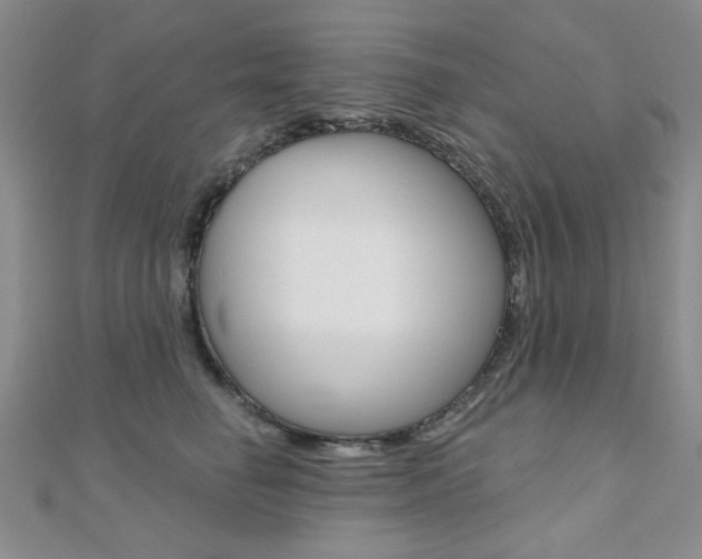 X0000110680662200906121036