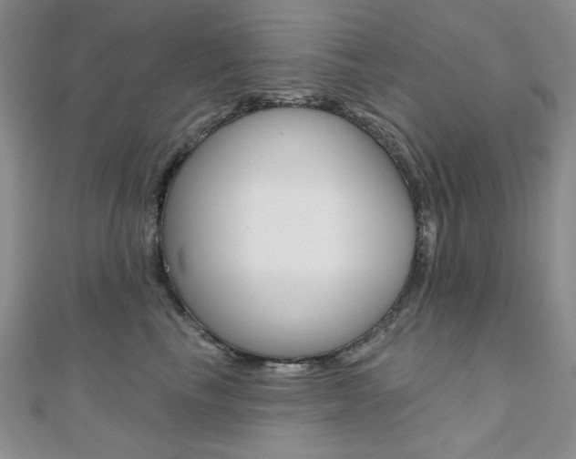 X0000110680665200906121036