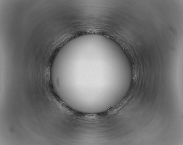 X0000110680666200906121036