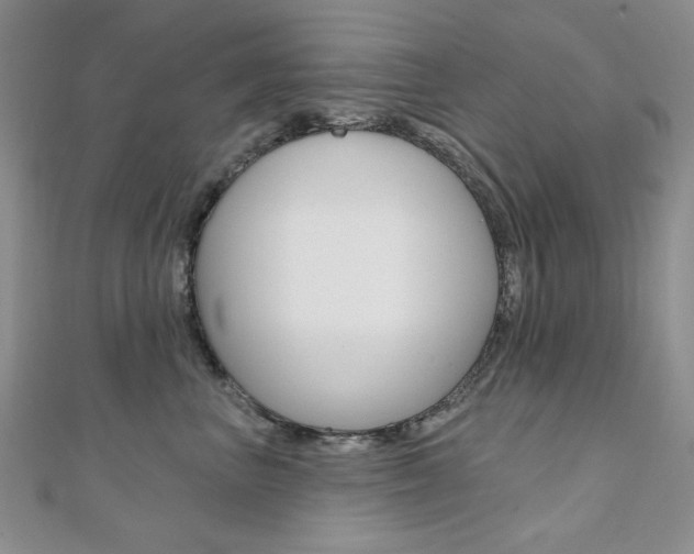 X0000110680667200906121036