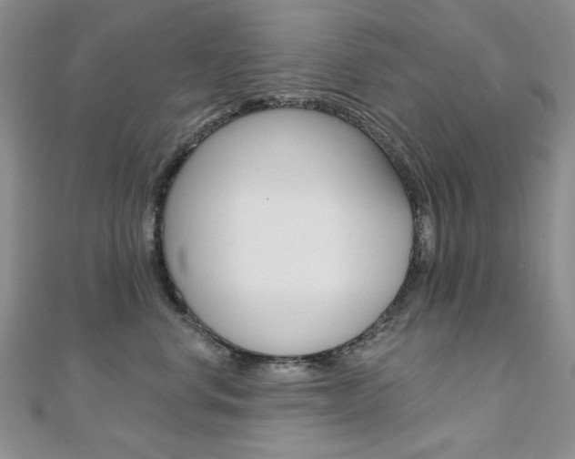 X0000110680668200906121036