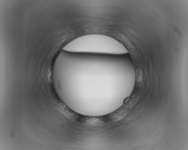 X0000110680669200906121036