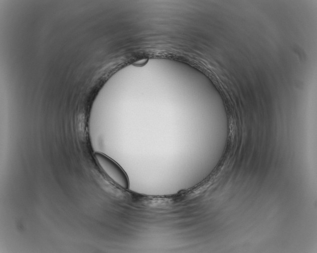 X0000110680670200906121036