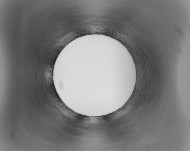 X0000110680672200906121036