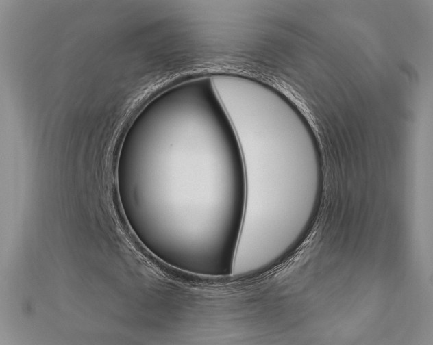 X0000110680673200906121036