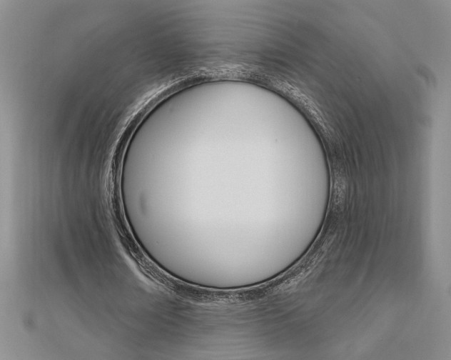 X0000110680674200906121036