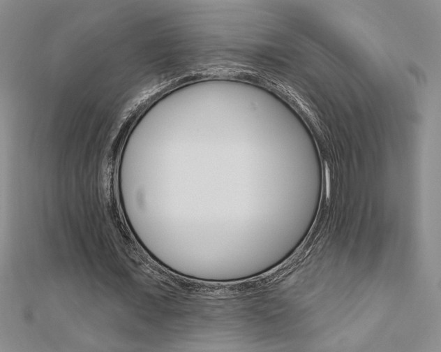 X0000110680675200906121036