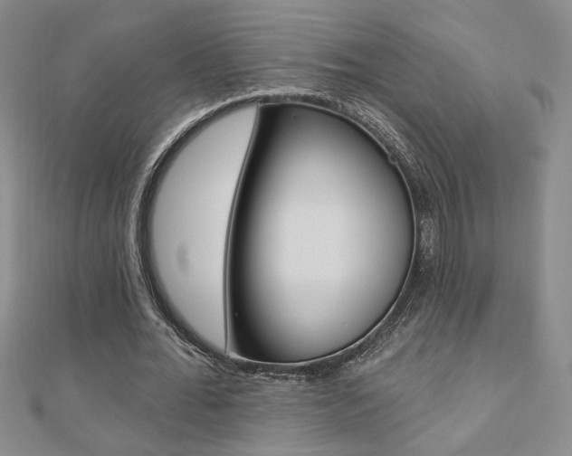 X0000110680676200906121036