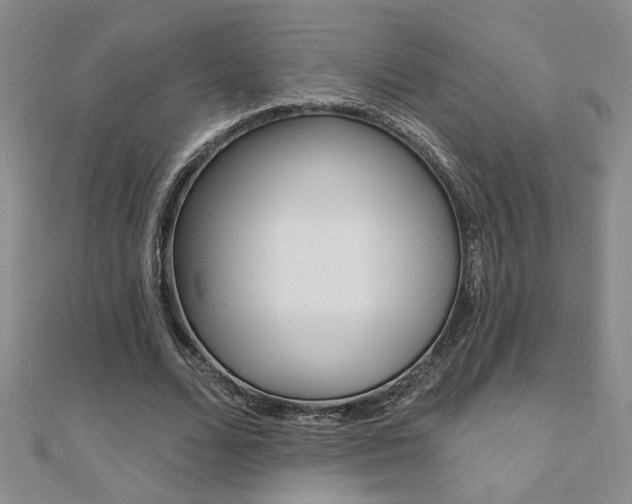 X0000110680680200906121035