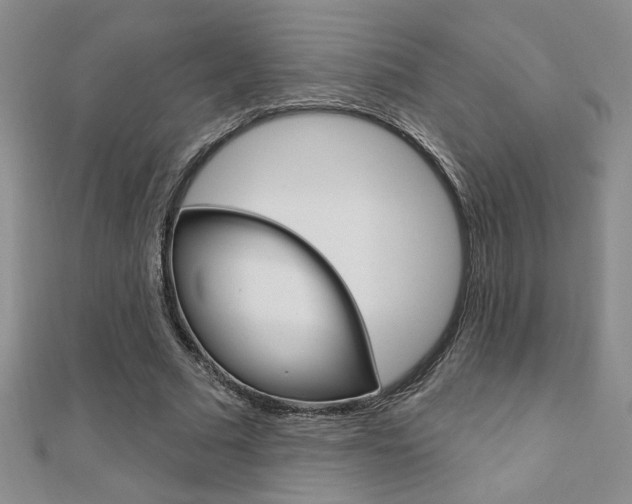 X0000110680681200906121035