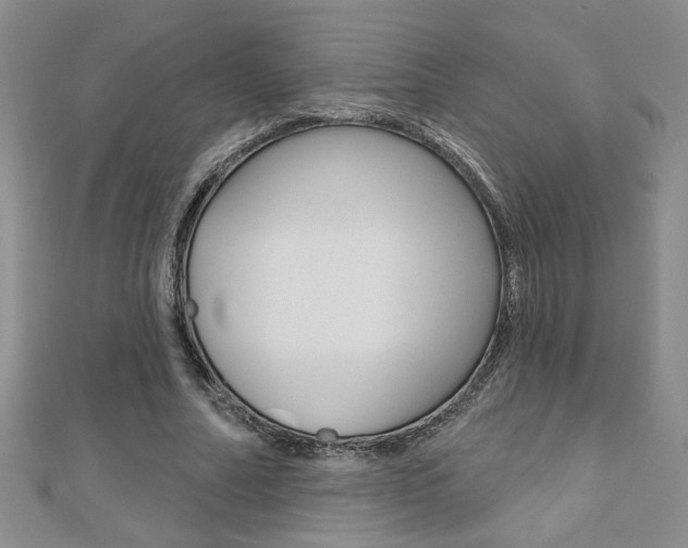 X0000110680682200906121035