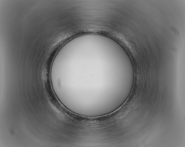 X0000110680683200906121035