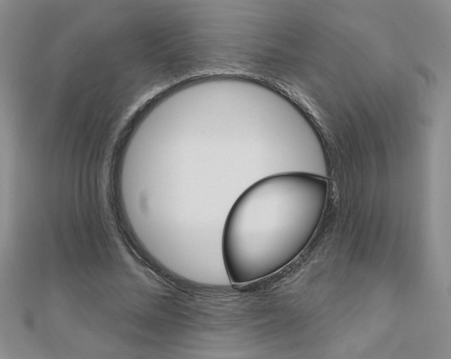 X0000110680684200906121035
